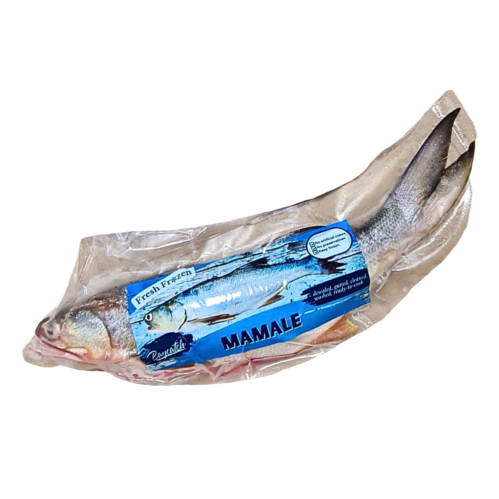 Fourfinger Threadfin (Mamale)