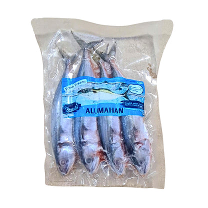 Long-Jawed Mackerel (Alumahan)