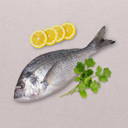 Sea Bream (Bacoco)