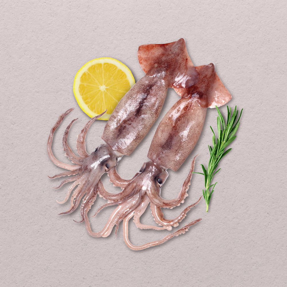 Bicol Squid