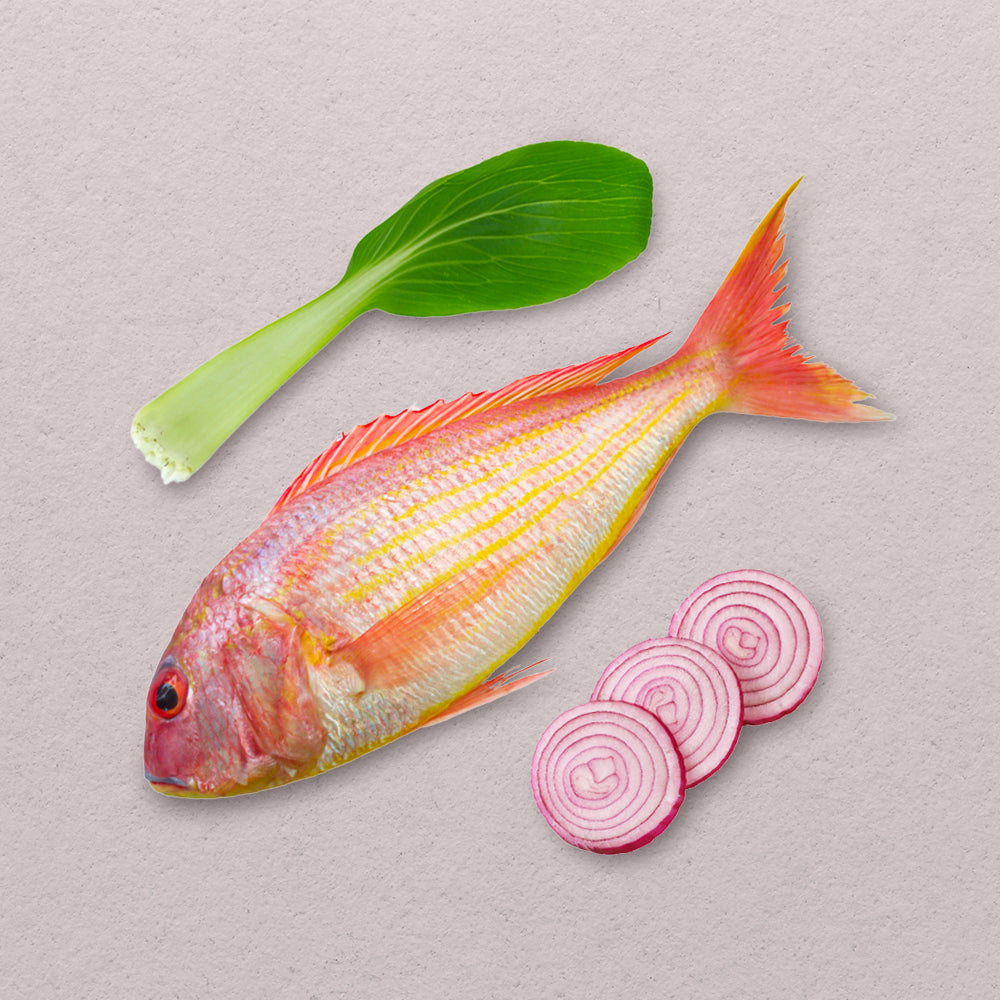 Threadfin Bream (Bisugo) – Baycatch PH