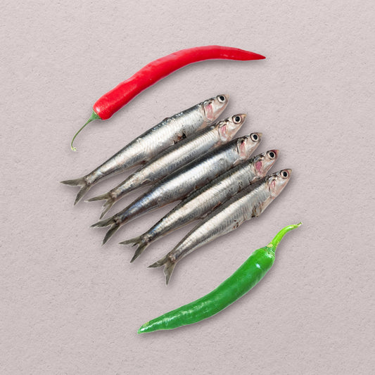 Anchovies (Dilis)