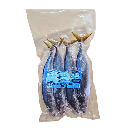 Mackerel Scad (Galunggong)