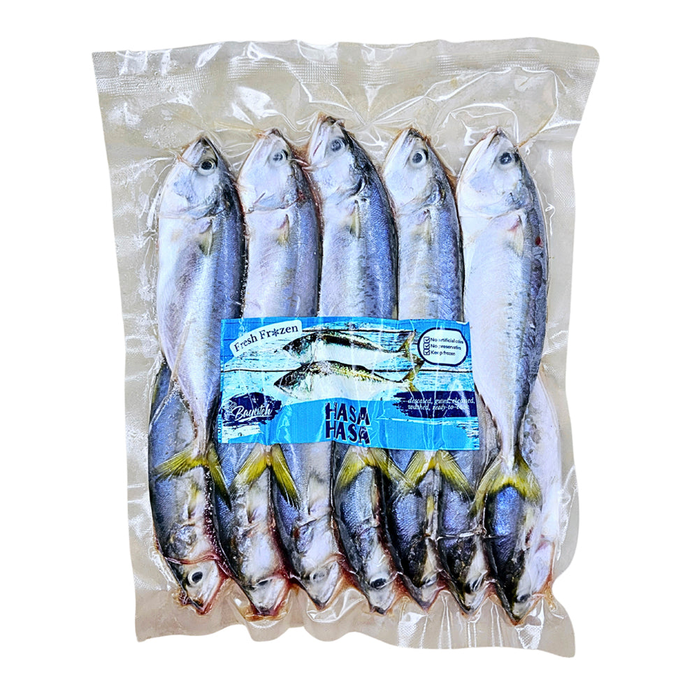 Short Mackerel (Hasa-Hasa)