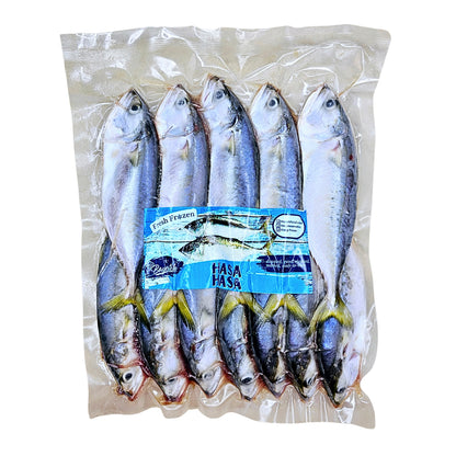 Short Mackerel (Hasa-Hasa)