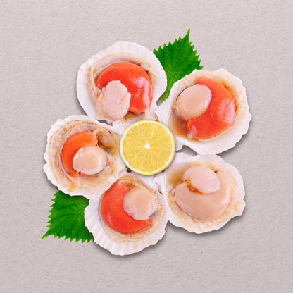 Japanese Scallops with Shells