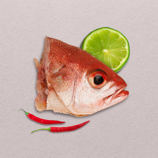 Red Snapper (Maya-Maya) Head