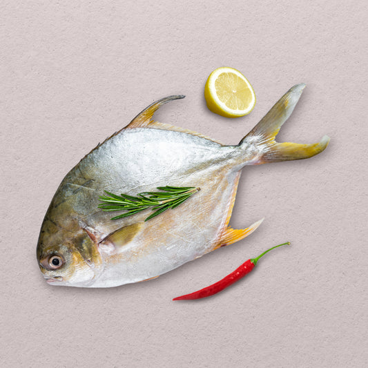 Pompano