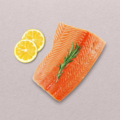 Norwegian Salmon Fillet