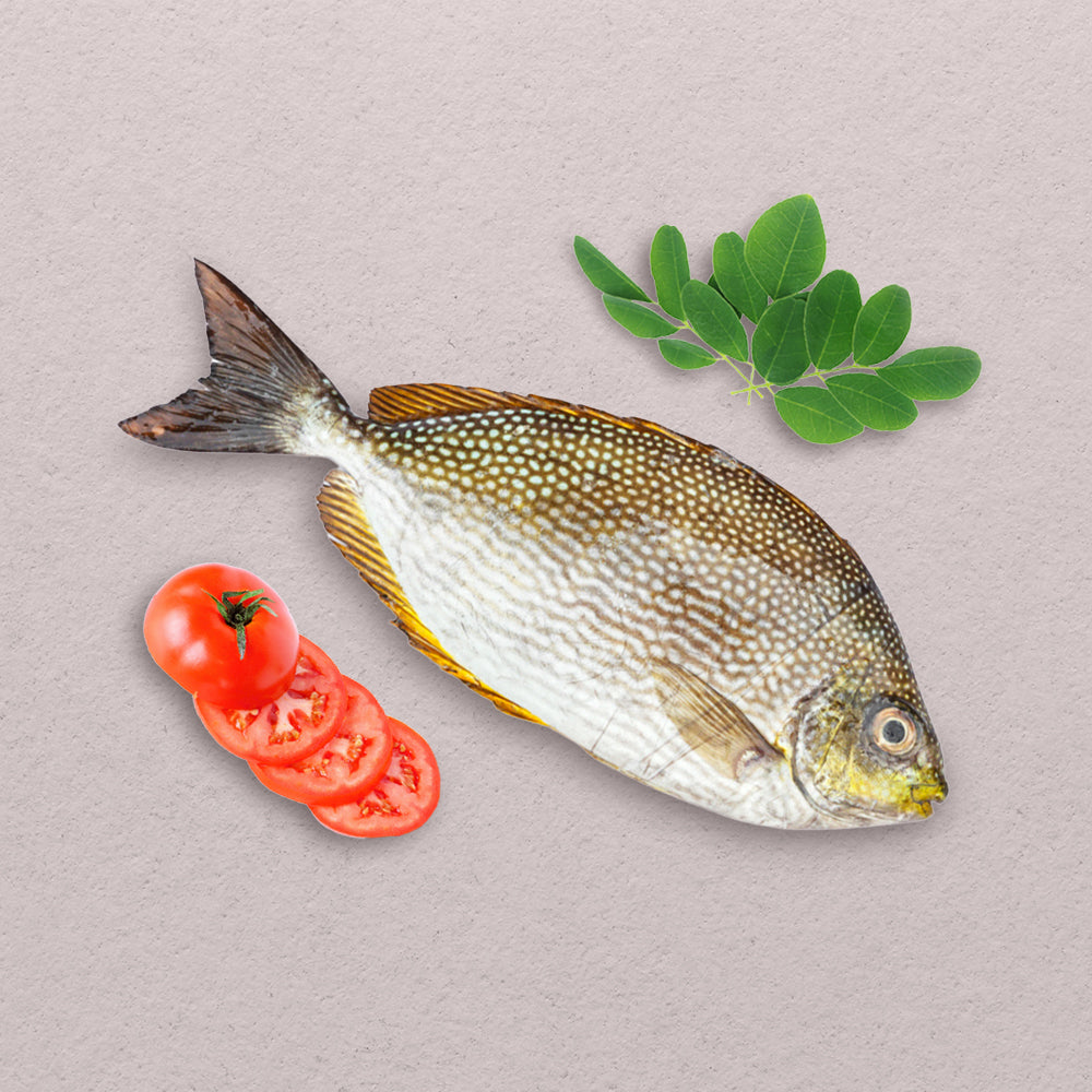Rabbitfish (Samaral) – Baycatch PH