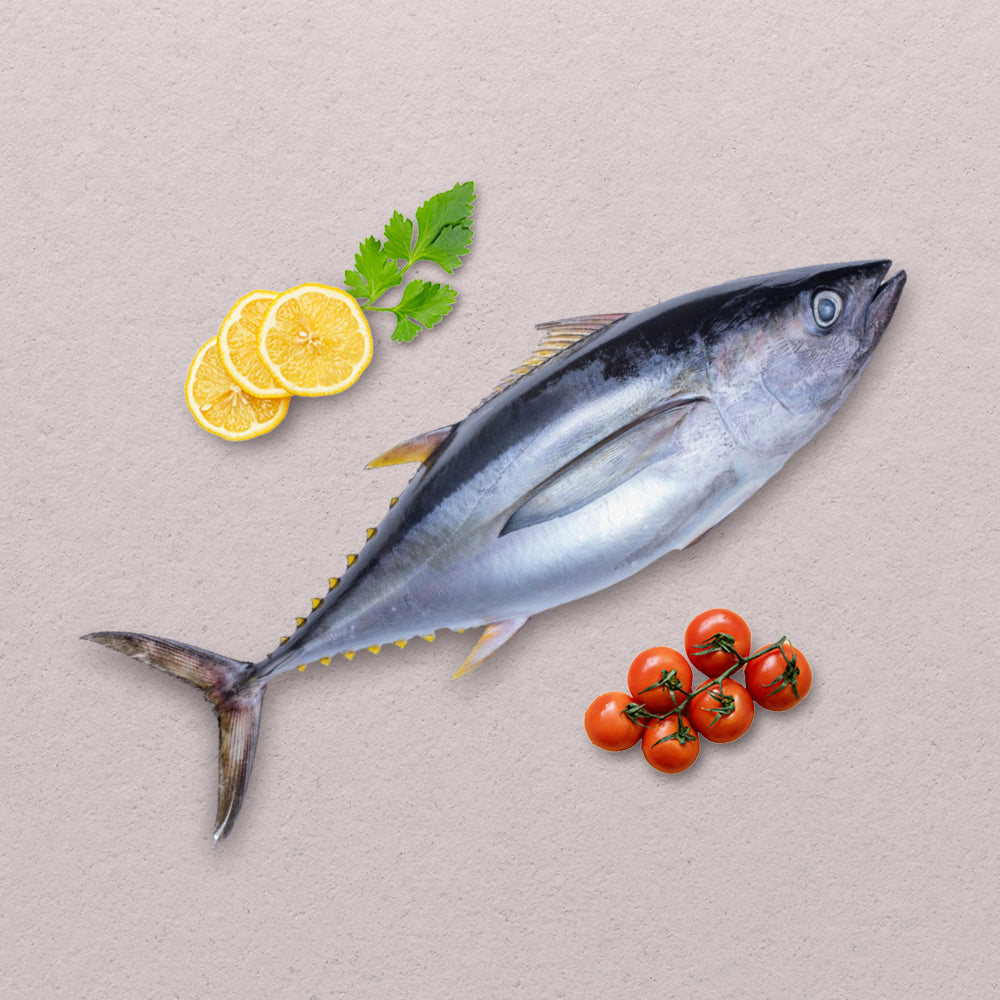 Yellowfin Tuna